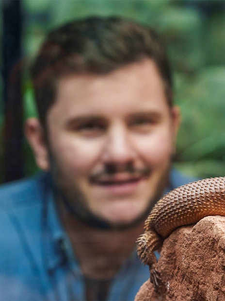 Lizard on rock at London Zoo with visitor observing in background.