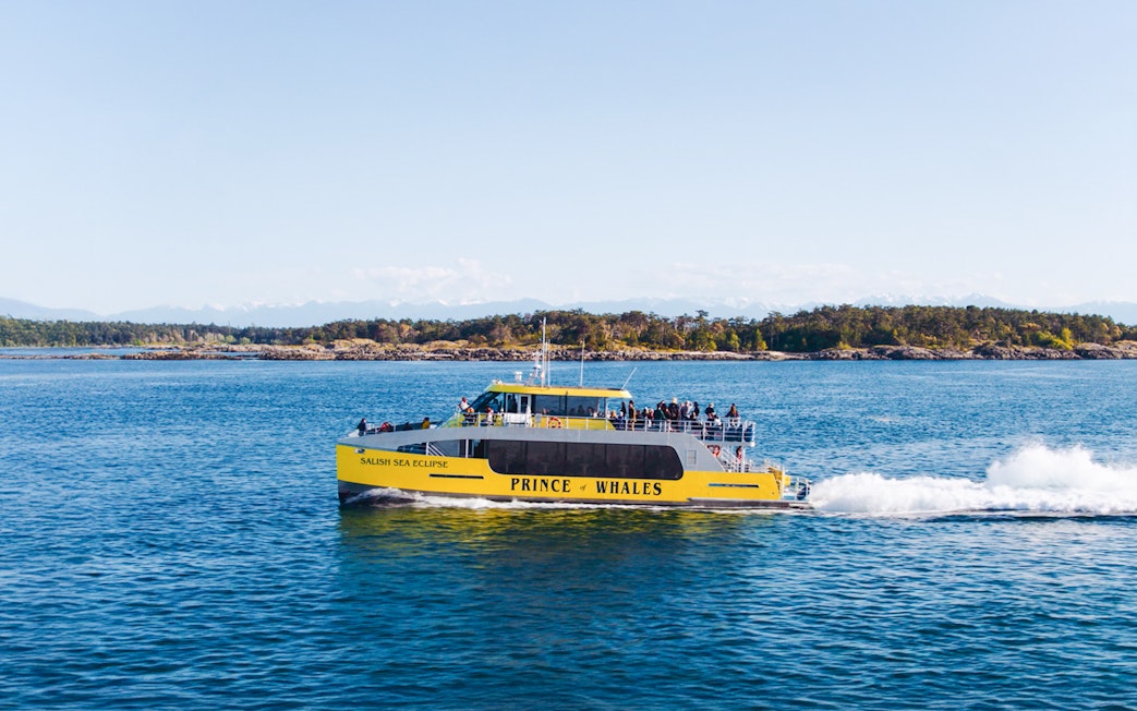 Highspeed catamaran Salish Sea Eclipse on the water, operated by Prince of Whales Whale.