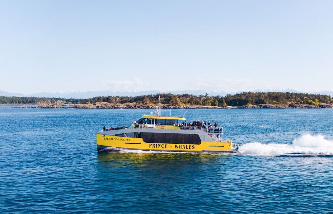 Salish Sea Eclipse catamaran on a whale watching tour in Victoria, Canada.