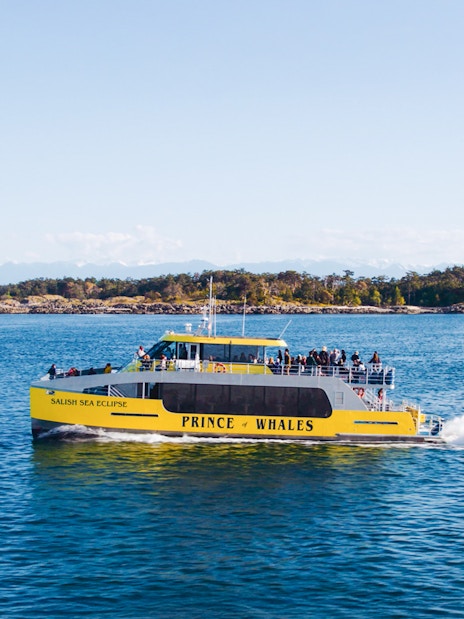 Highspeed catamaran Salish Sea Eclipse on the water, operated by Prince of Whales Whale.