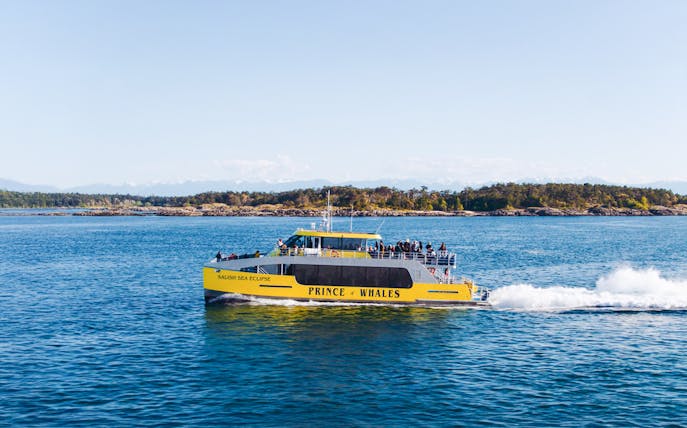 Salish Sea Eclipse catamaran on a whale watching tour in Victoria, Canada.