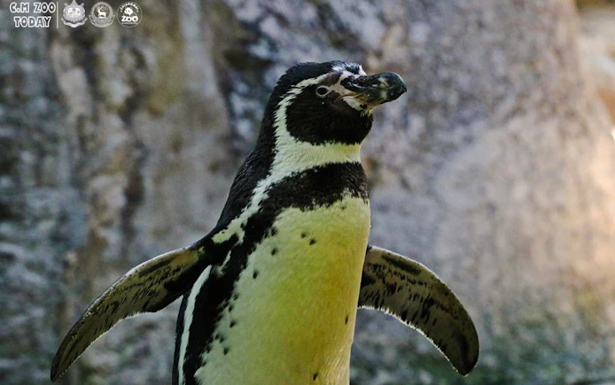 Chiang Mai Zoo & Aquarium Tickets