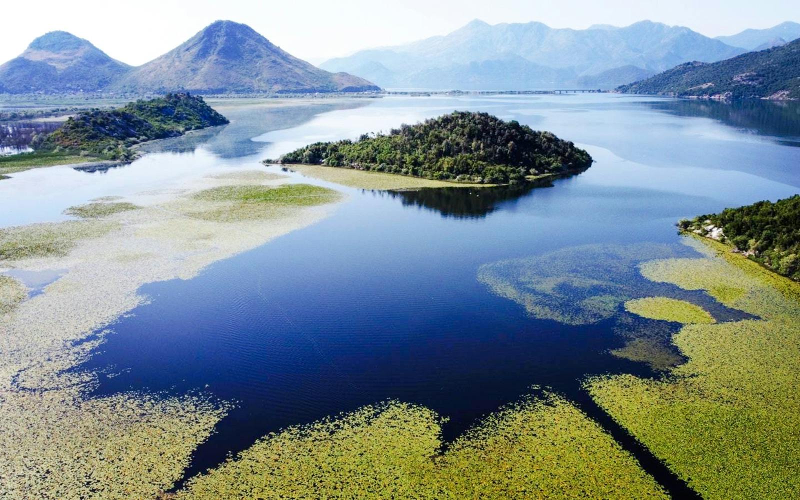 skadar lake wild beauty 2h boat tour-2