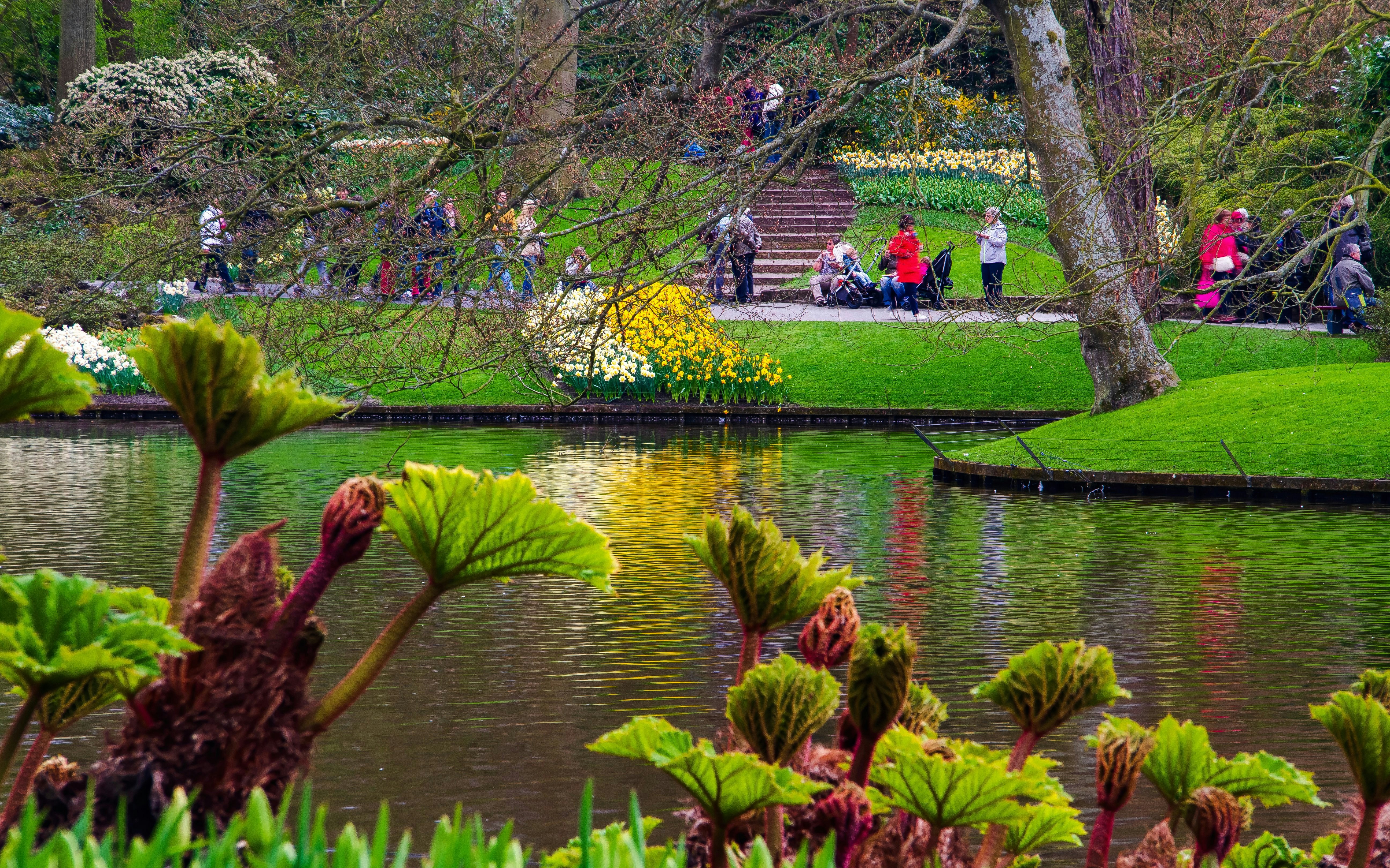 Keukenhof spring garden with blooming flowers and visitors near a pond, Netherlands.