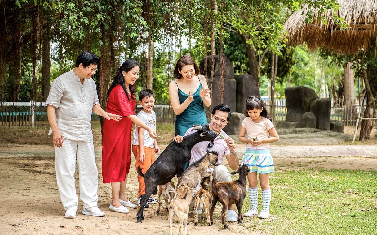 Guests feeding goats at Vinpearl Safari, Vietnam.