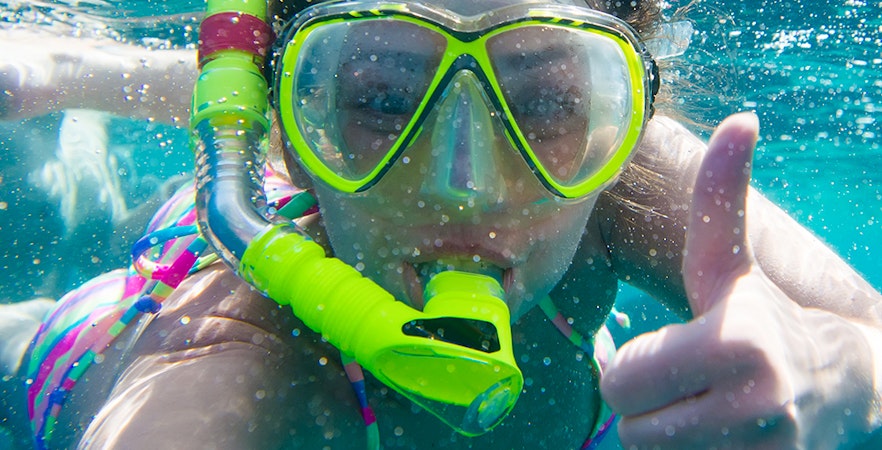 Rencontres avec des requins et des raies à Irukandji