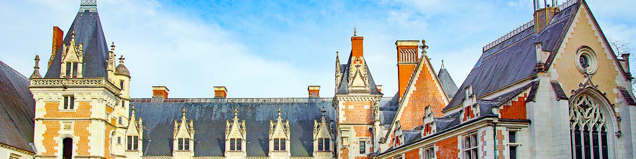 Combo: castello di Blois + 2 castelli della Valle della Loira