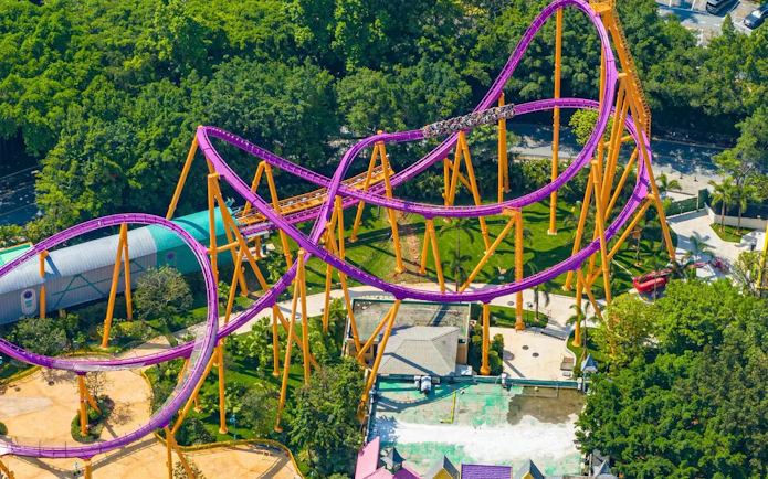 Roller coaster at Chimelong Paradise, Guangzhou, with vibrant purple tracks and lush greenery.