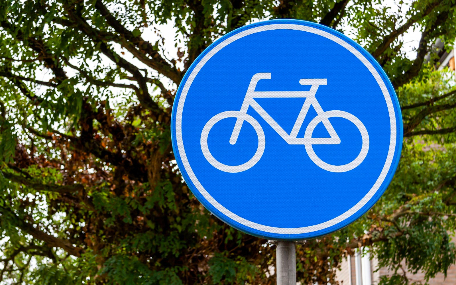 Bicycle route sign on a tree-lined path.