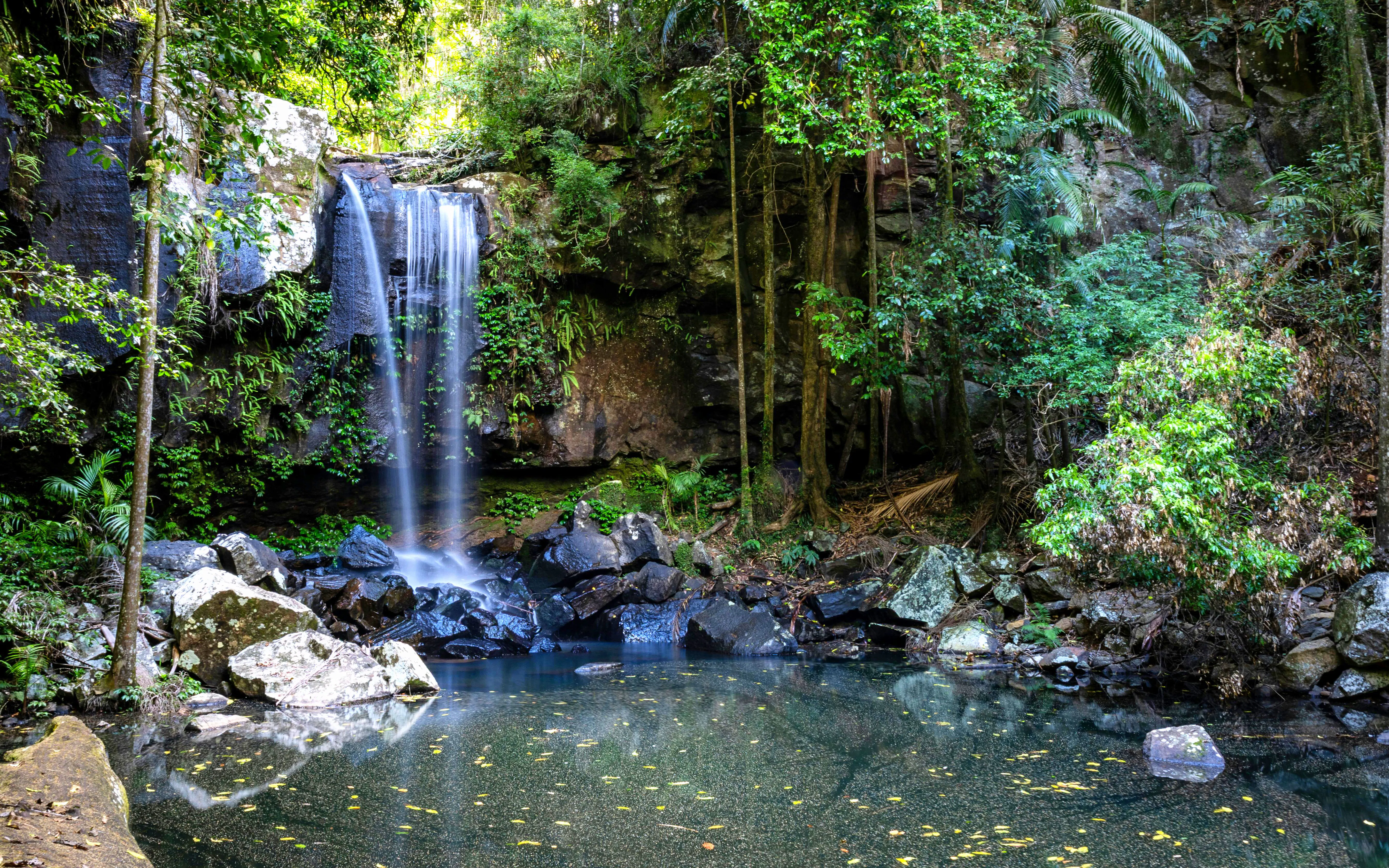 Waterfall surrounded by lush greenery at Tamborine Mountain, Australia.