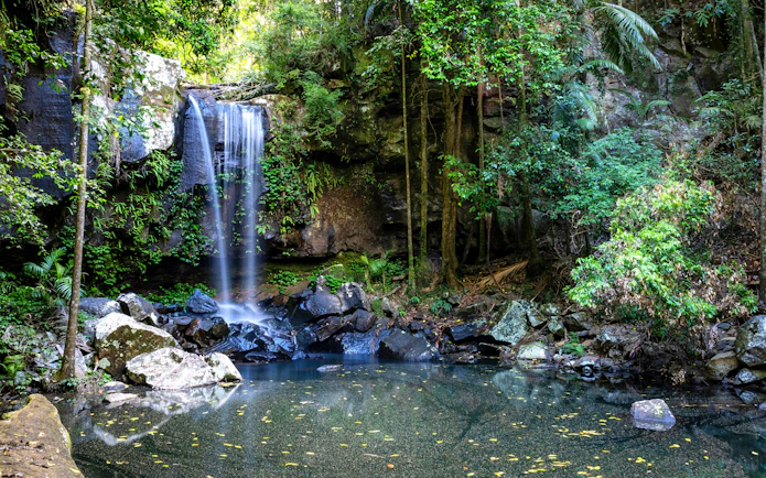 Waterfall surrounded by lush greenery at Tamborine Mountain, Australia.