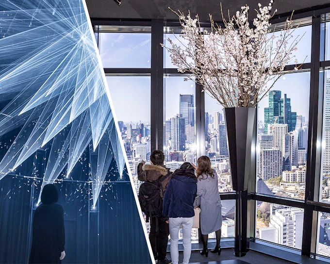 Combo (Save 7.5%): teamLab Planets TOKYO + Tokyo Tower Main Deck Tickets