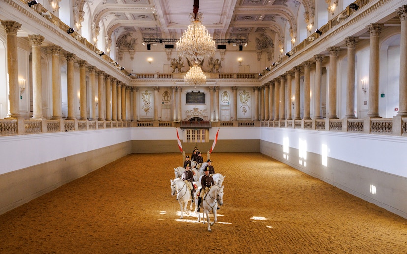 Lippizans performing at the Spanish Riding School arena in Vienna.