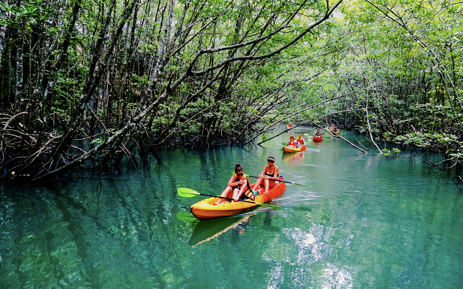 Tourists kayaking through Ao Thalane mangrove forests in Thailand.