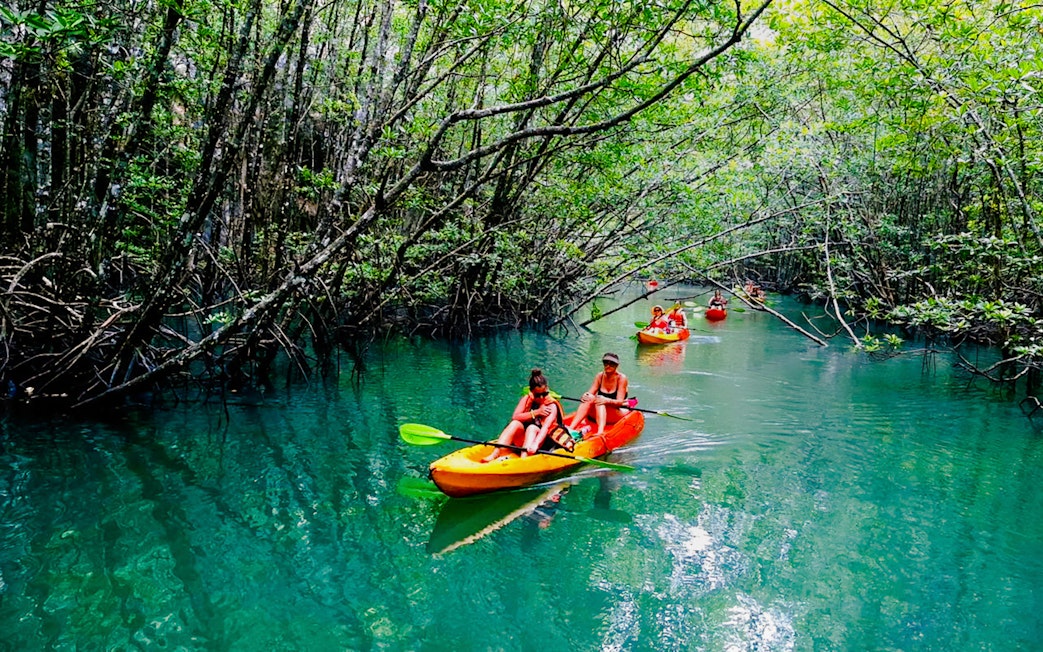 Tourists kayaking through Ao Thalane mangrove forests in Thailand.