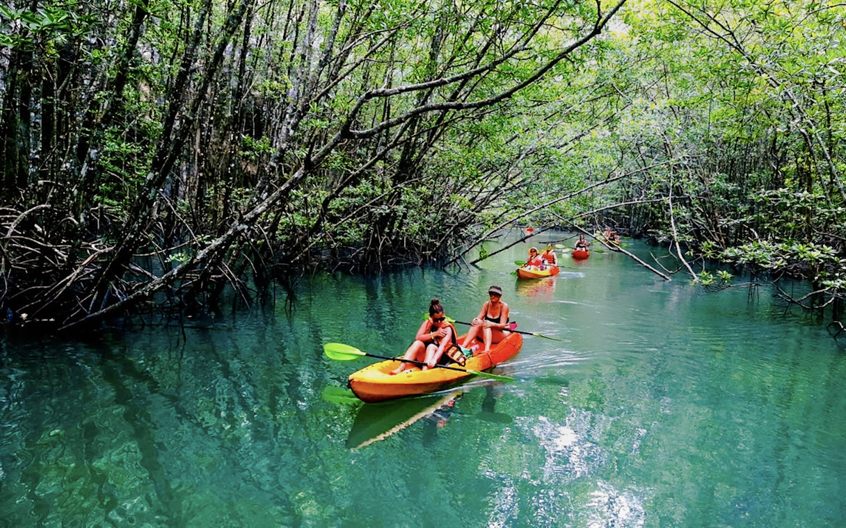 Tourists kayaking through Ao Thalane mangrove forests in Thailand.