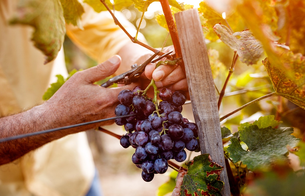 Paris in October- Festivals