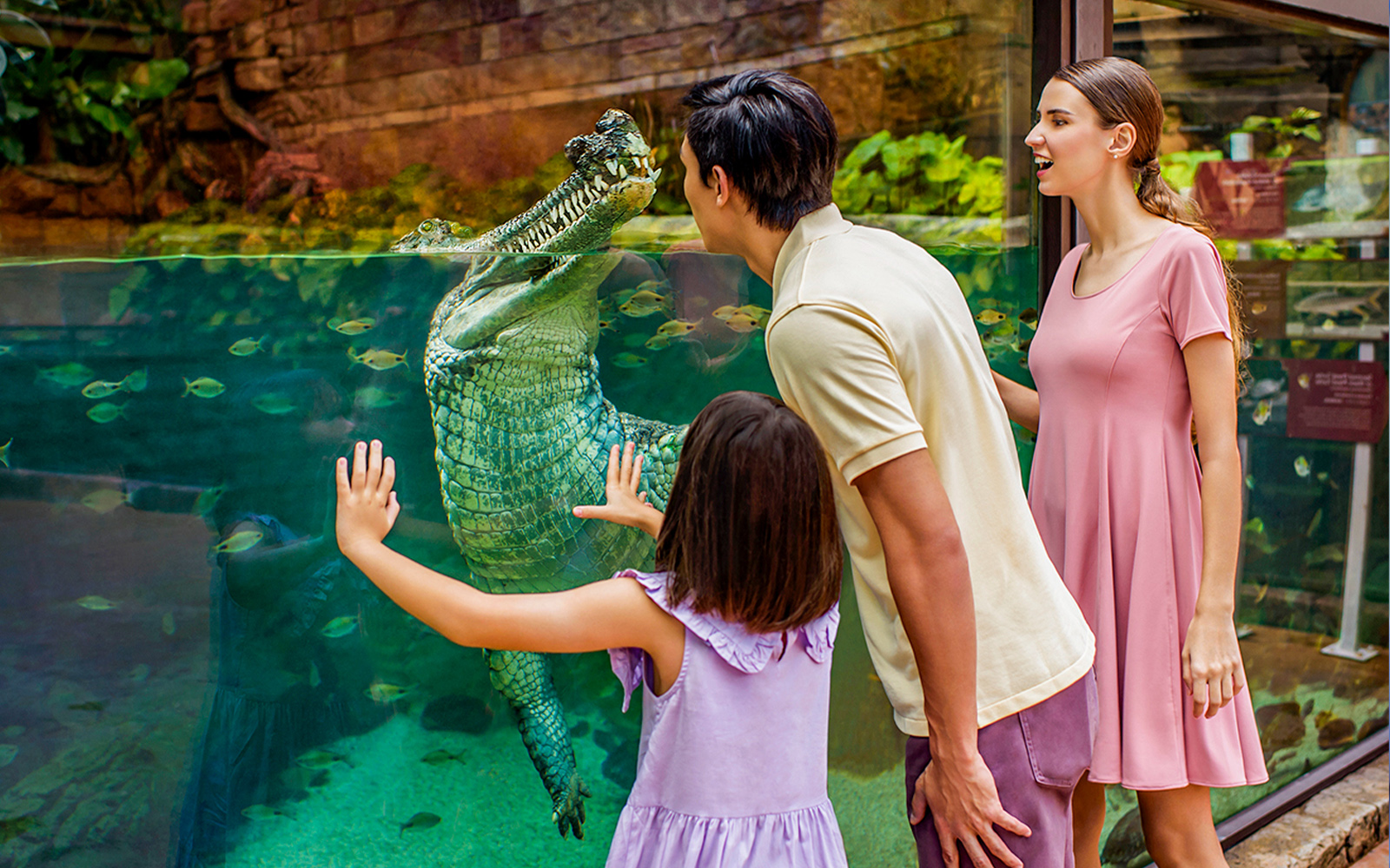 Singapore In December - River Safari