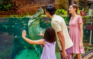 Singapore In December - River Safari