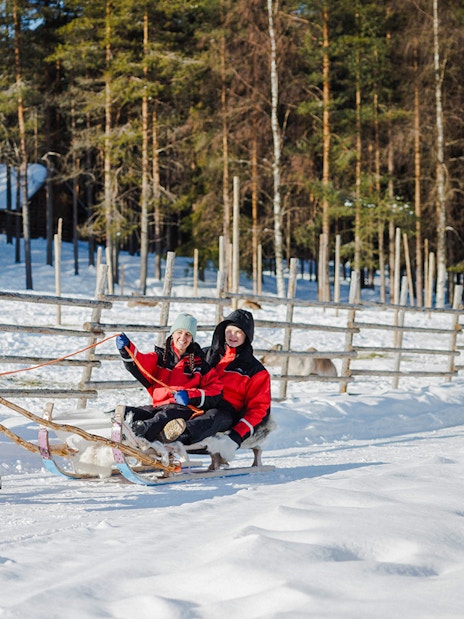 Reindeer pulling sled with two people in snowy Rovaniemi forest.