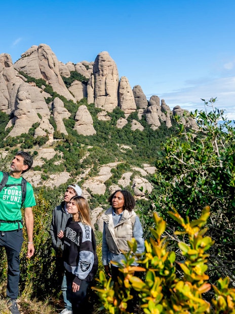 Tourists with guide on Montserrat mountain hike observing local plants.