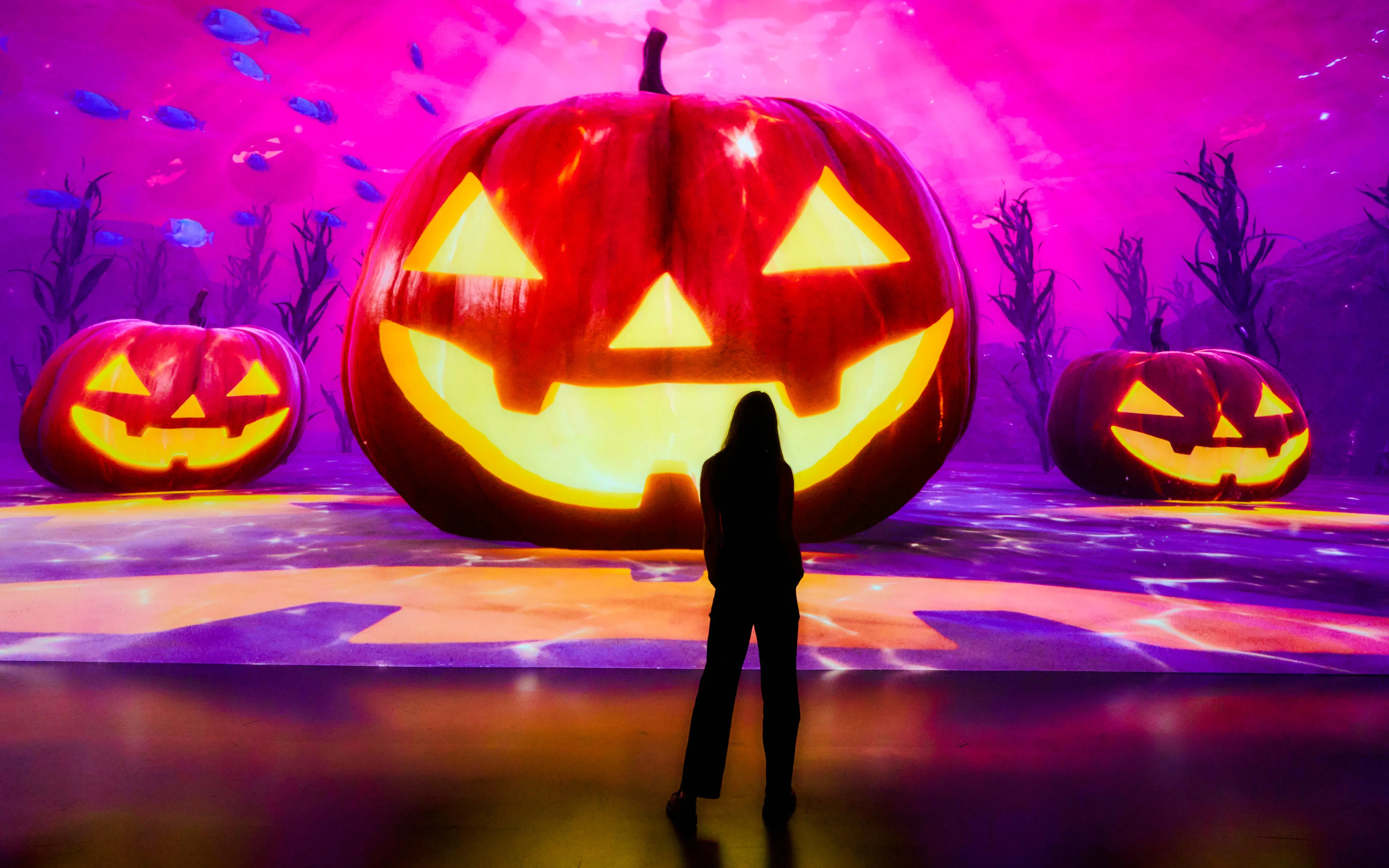 Silhouette of a person facing glowing jack-o'-lanterns at ARTECHOUSE NYC Halloween exhibition.