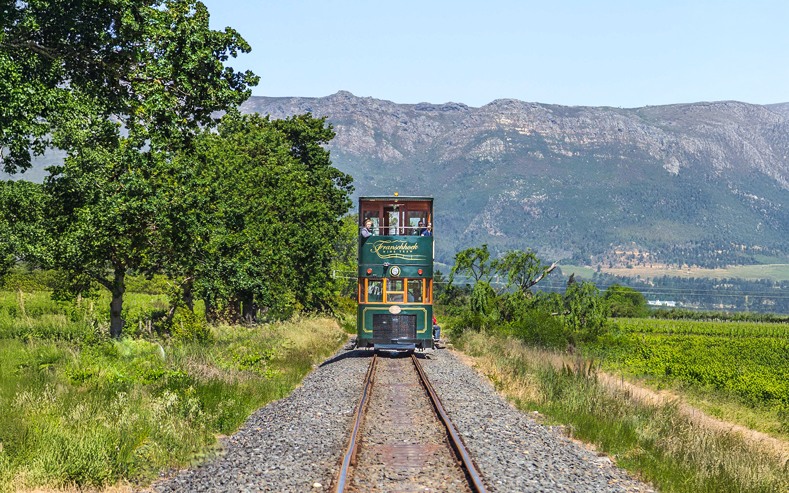Tram traveling through vineyards on the Franschhoek Wine Tram Xplorer Tour, Cape Town.