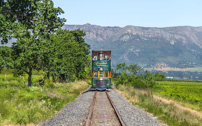 Tram traveling through vineyards on the Franschhoek Wine Tram Xplorer Tour, Cape Town.
