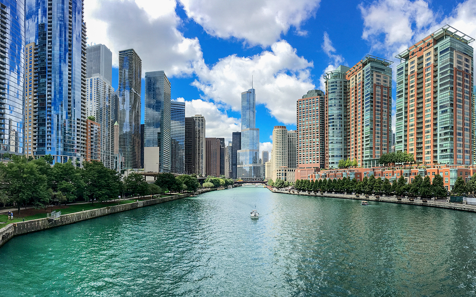 Chicago skyline view from Architecture Cruise with small group tour.