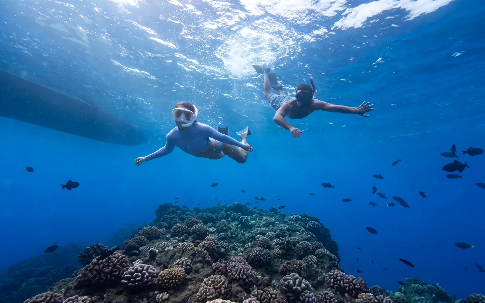 Kaula Kai Snorkel