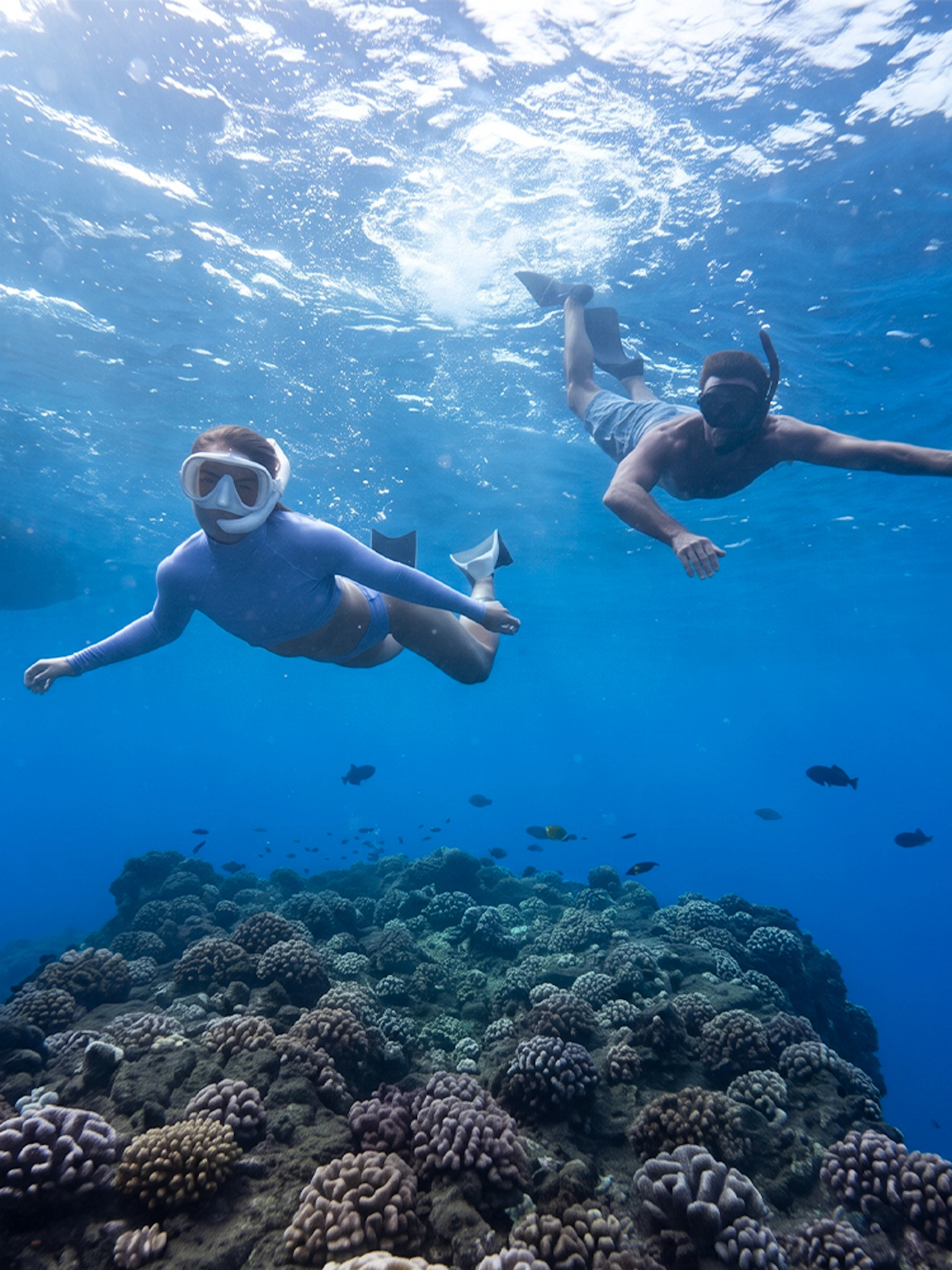 Snorkelers exploring coral reef during Kaula Kai Snorkel Sail, Oahu.
