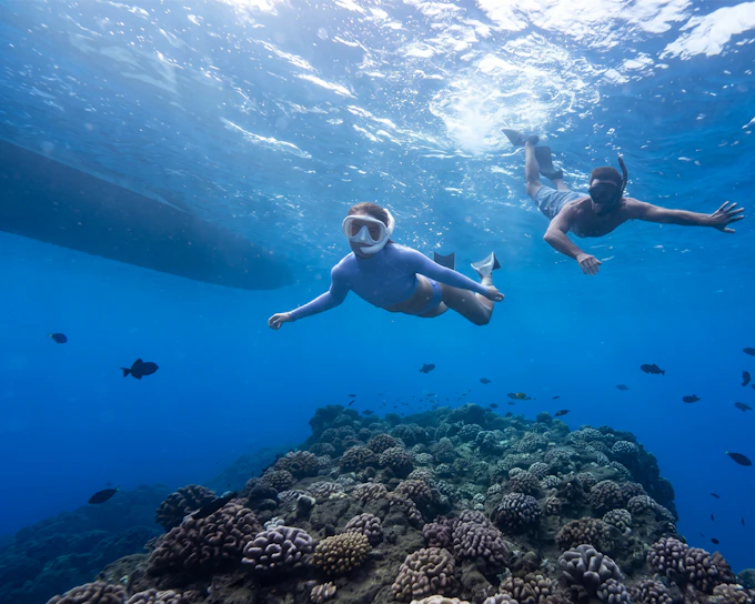 Kaula Kai Snorkel