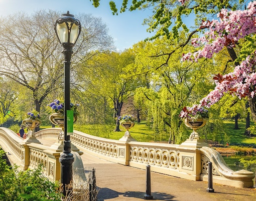 Bow Bridge spanning over a serene lake in Central Park, New York, surrounded by lush greenery.