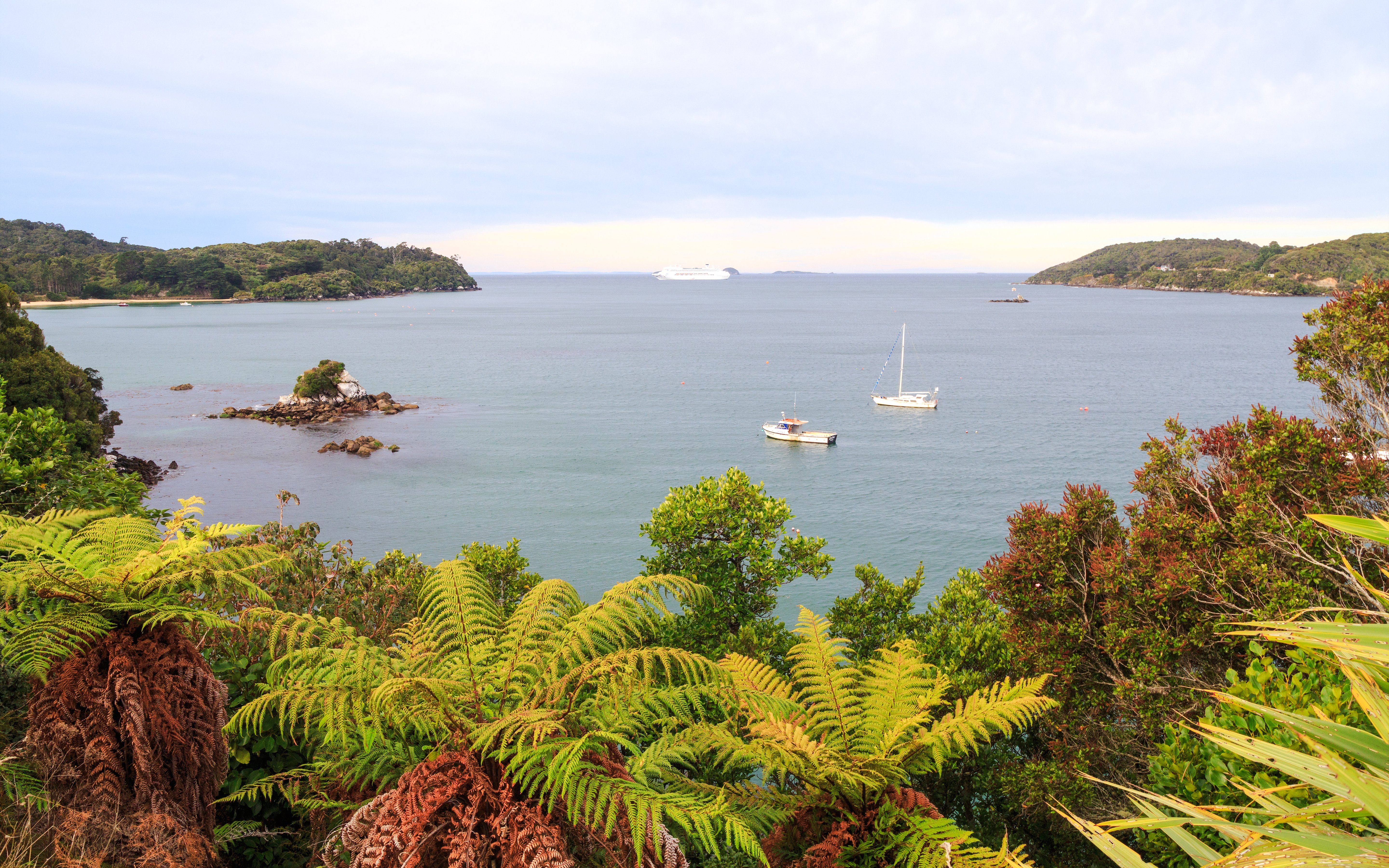 Halfmoon Bay view with boats and lush greenery, Stewart Island, New Zealand.