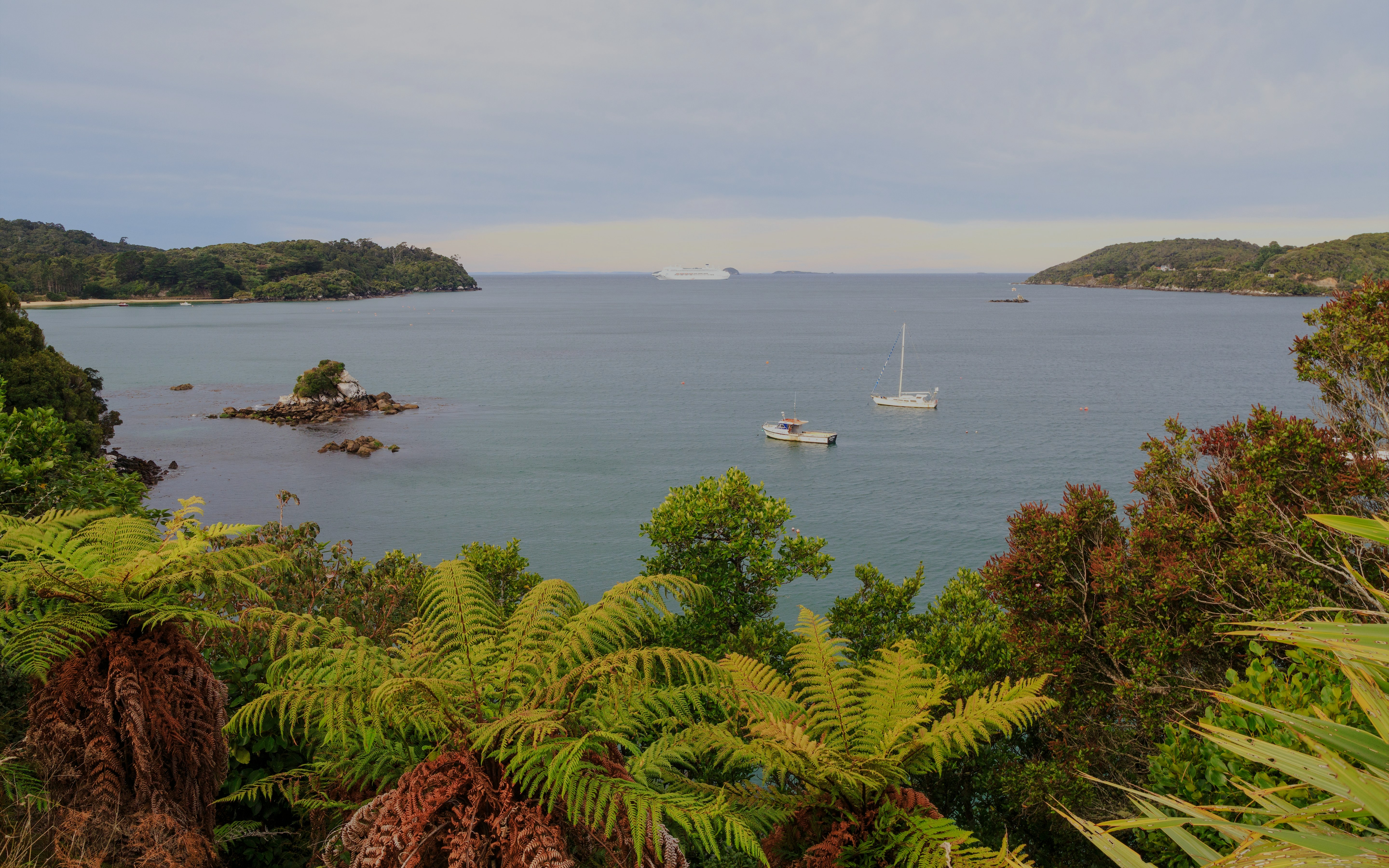 Halfmoon Bay view with boats and lush greenery, Stewart Island, New Zealand.
