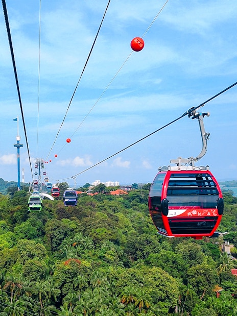 Tourists riding Singapore Cable Car over lush greenery and coastline.