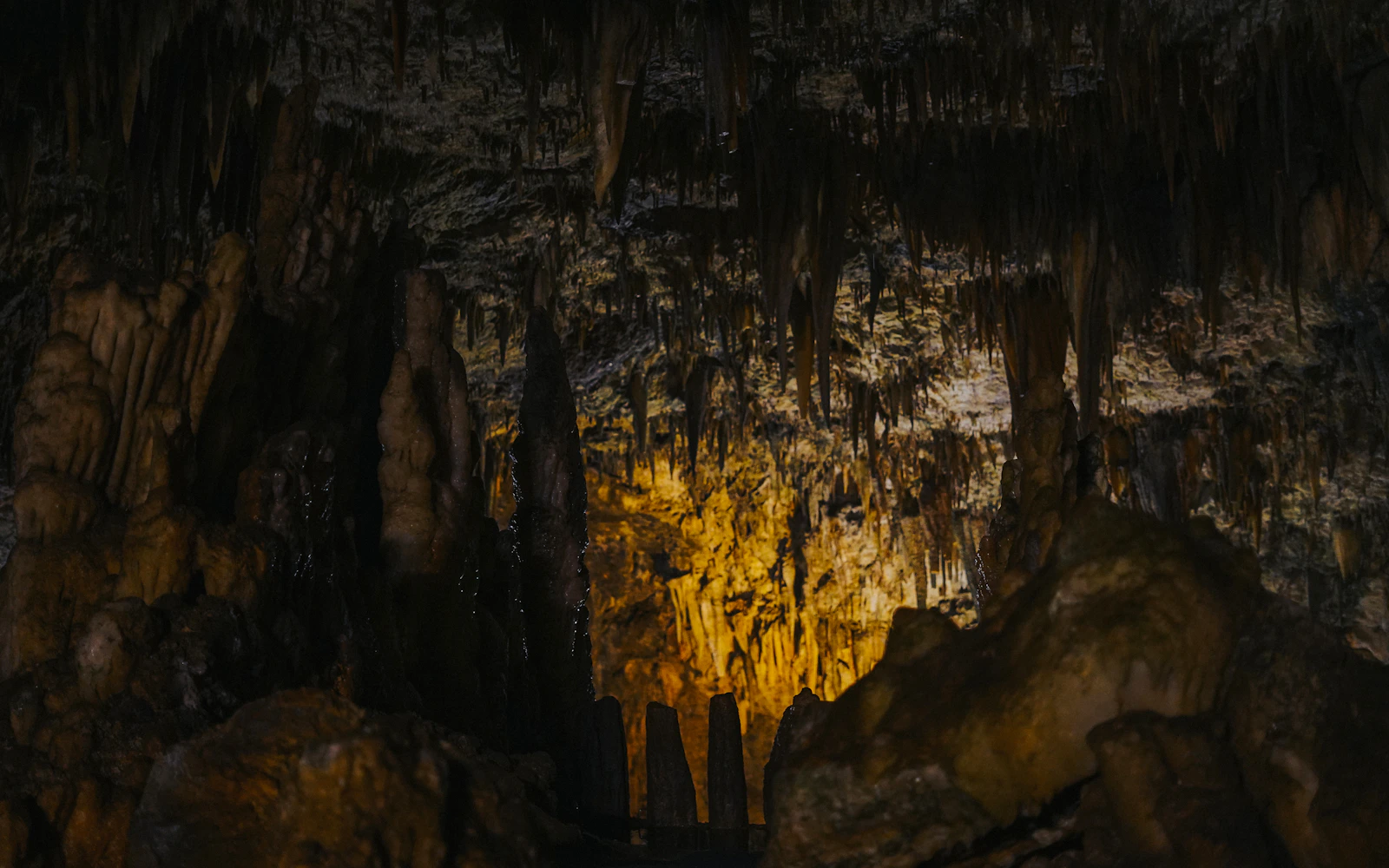 Kefalonia Highlights Day Tour: Melissani Lake, Drogarati Cave, Robola Winery & Myrtos Beach Viewpoint Image 2