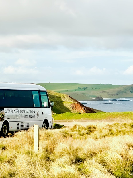 Tour bus on a scenic coastal road at Phillip Island, Australia.