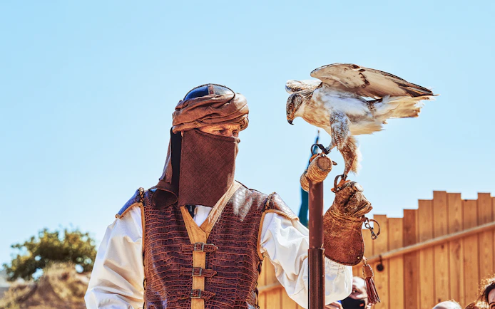 Performer with falcon at Puy du Fou España park.