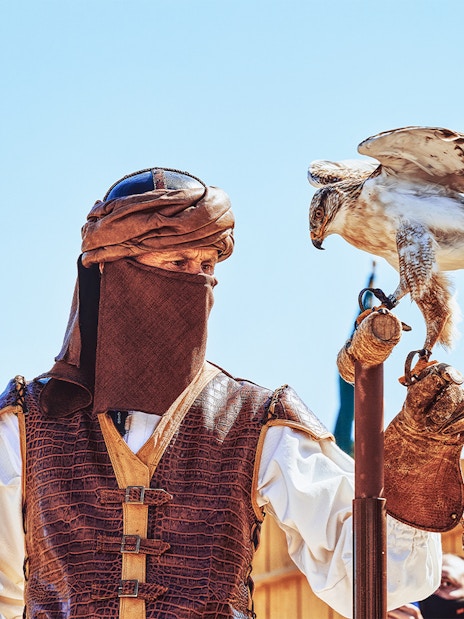 Performer with falcon at Puy du Fou España park.
