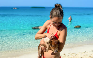 Woman holding a piglet on a beach at Rose Island, Nassau, Bahamas.