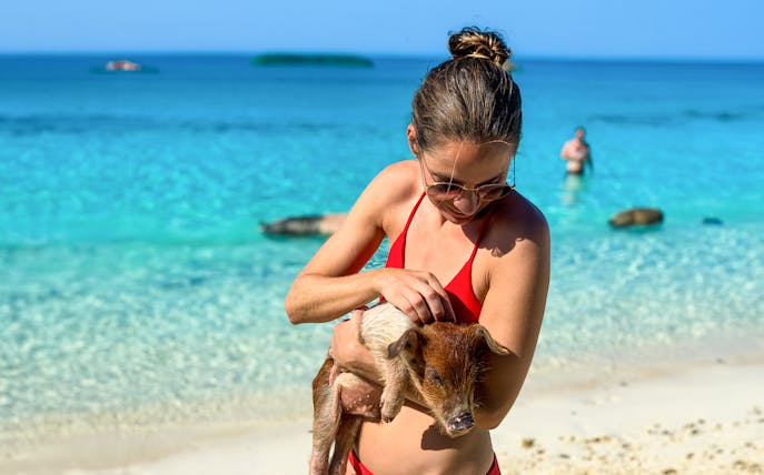 Woman holding a piglet on a beach at Rose Island, Nassau, Bahamas.