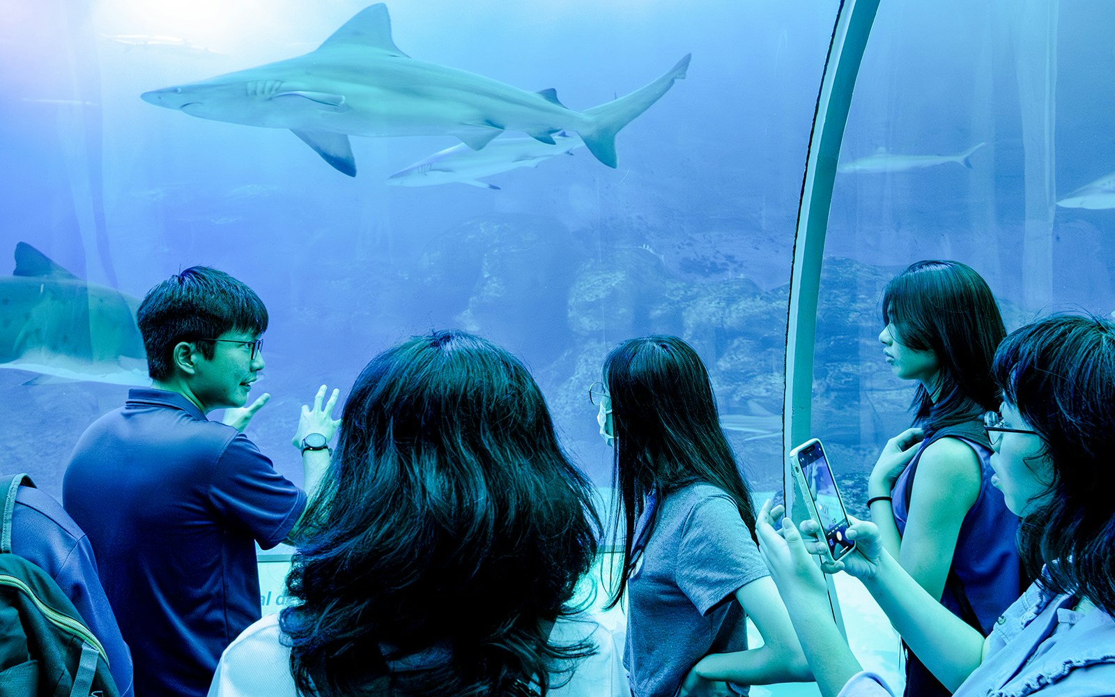 Guide explaining marine life to tourists at Singapore Oceanarium.