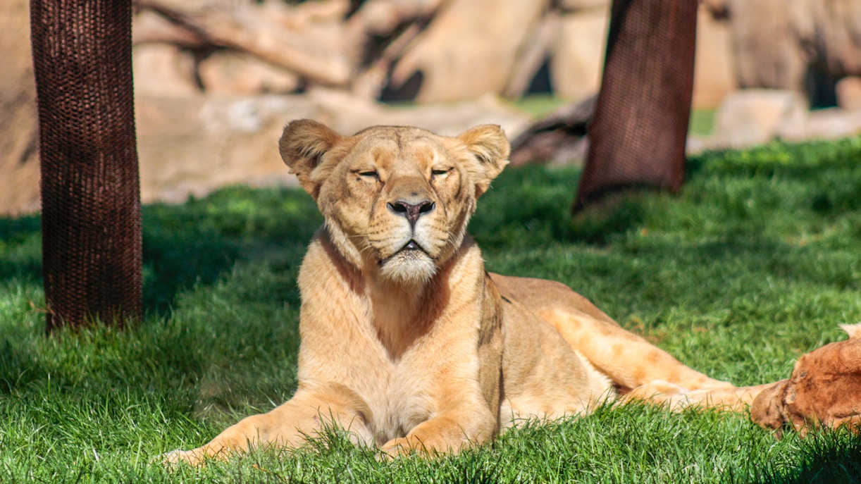 Principe Felipe Science Museum