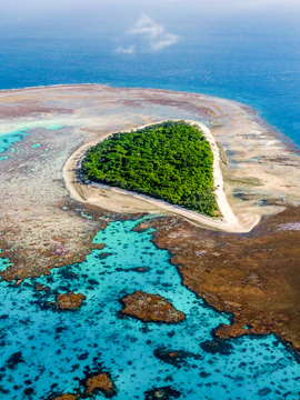 Aerial view of Lady Musgrave Island surrounded by coral reefs in the Great Barrier Reef, Australia.