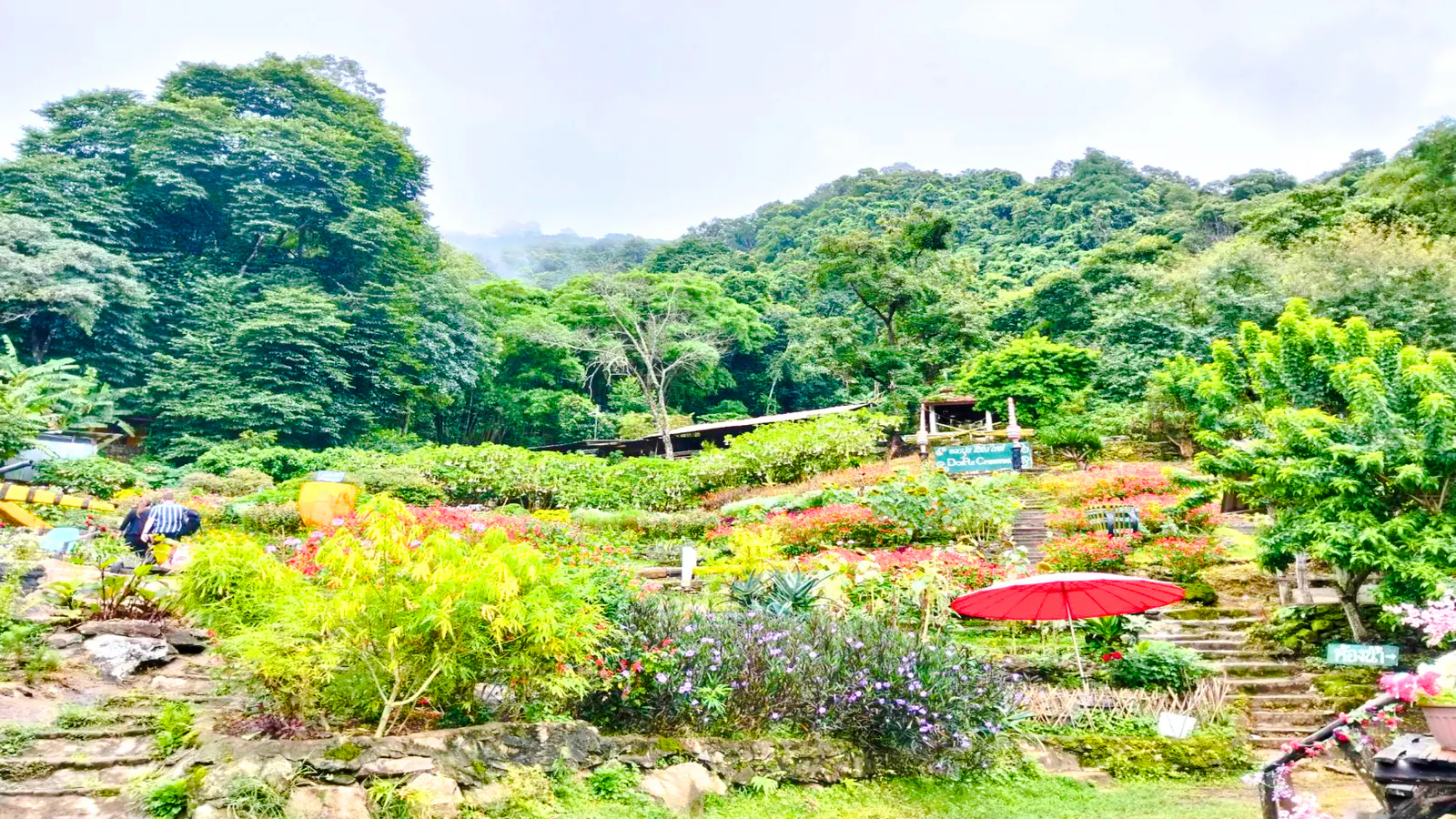 Chiang Mai Private Van Charter to Doi Suthep Temple and White Hmong Village for up to 8 Guests Image 4