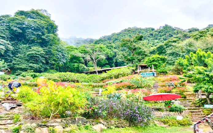 Chiang Mai Private Van Charter to Doi Suthep Temple and White Hmong Village for up to 8 Guests