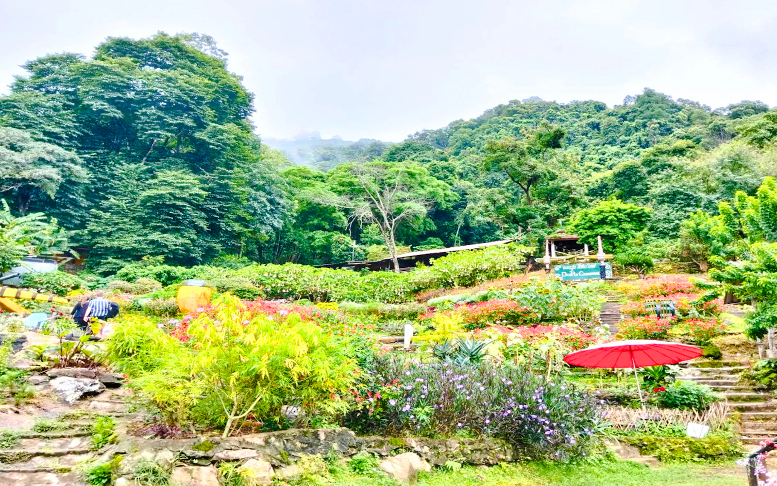 Chiang Mai Private Van Charter to Doi Suthep Temple and White Hmong Village for up to 8 Guests Image 4