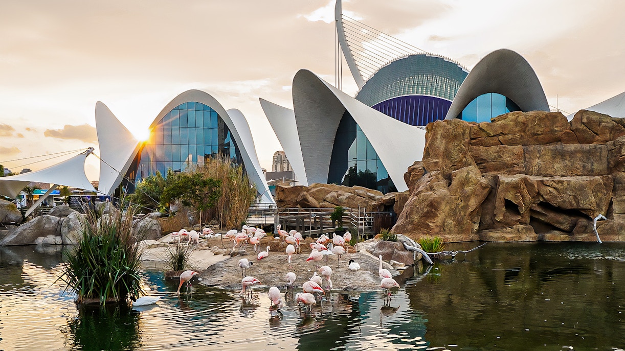 Oceanografic Valencia aquarium showcasing diverse marine habitats and aquatic life.