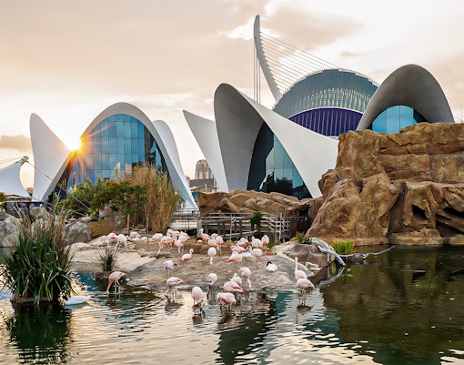 Oceanografic Valencia aquarium showcasing diverse marine habitats and aquatic life.